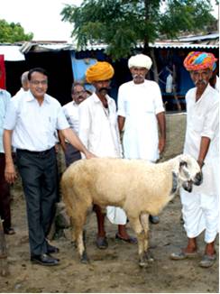 cswri-news-06-08-2012-1