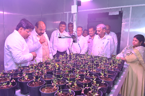 ICAR Inaugurates India’s First Speed Breeding Facility for Mustard