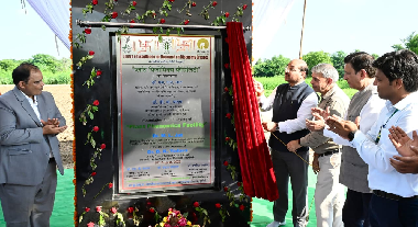 DG, ICAR launches ICAR-IGFRI reliance collaborative project on Bioenergy