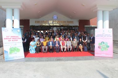 33rd Annual Group Meeting of AICRP on Medicinal and Aromatic Plants & Betelvine Organised