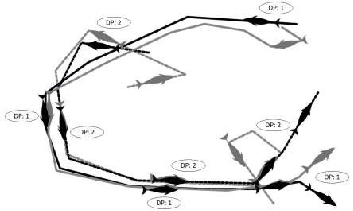 ICAR-CIFT Researchers Capture Rare Mating Behavior of Humpback Dolphins Using Drone for the First Time in India