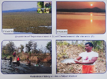 ICAR- Directorate of weed Research, Jabalpur completely cleared the Salvinia infested approximately 1100 hectares of the Satpura Water Reservoir at Satpura Thermal Power Station (STPS) in Sarni and 20 ha pond in Katni district of Madhya Pradesh within 18 months through strategic release and periodic monitoring of insect bio-agent Cyrtobagus salviniae. In addition, this technology helped in restoring ecological equilibrium and brought about a positive transformation in the livelihoods of local fishermen who had suffered from decreased fishing opportunities due to the dense weed cover. This success story highlights the effectiveness of integrating biological control methods with socio-economic considerations for the sustainable management of aquatic ecosystems.  (Source: ICAR- Directorate of weed Research, Jabalpur)