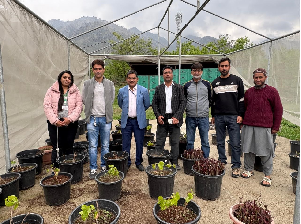 ICAR-NRCG Promotes Grape Cultivation in Kashmir Through Field Visits and Collaborations