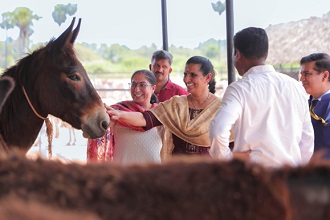 establishing-India's-largest-donkey-farm-04.jpg 