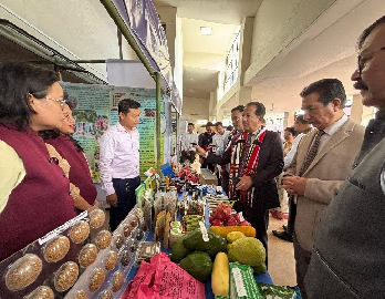 Third Mithun Day Celebrated in Thenzawl, Mizoram