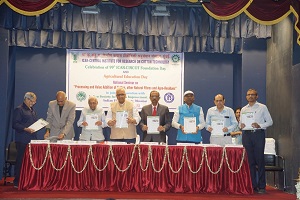 foundation-01-12062022