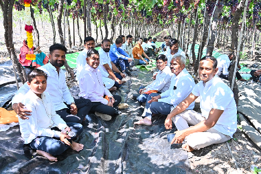Field Day on Grape and Pomegranate Organised at Indapur, Maharashtra