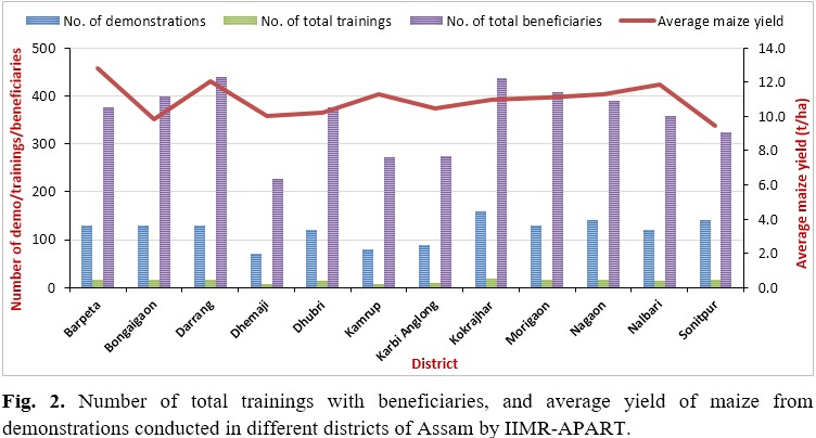 Golden Grains of Change: How Maize is Powering a Rural Revolution in Assam