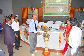 groundnut-01-28052019