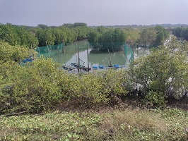 handing-over-watercrab-01_0