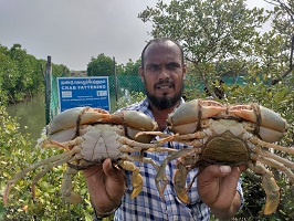 handing-over-watercrab-03_0