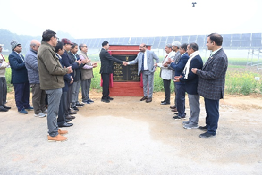 DG ICAR inaugurates Agri Voltaic Facility (Agri-PV) at ICAR-IARI