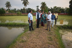 IARI-Assam Takes Over RRLRRS, Gerua from CRRI-Cuttack