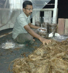 icar-kvk-01-08112016