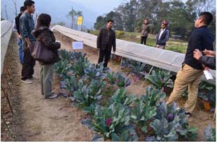 icarsikkem-02-16022015