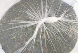 Turning Orchard Waste into Winter Feed: Apple Pomace–Based Silage for Sustainable Livestock Production for lean periods in temperate region India