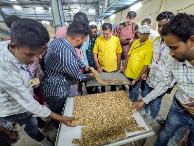ICAR-IIMR Conducts Millet Training Program for Farmers from Odisha