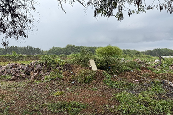 ICAR–IIOR Observes Swachhta Hi Seva 2025 Campaign