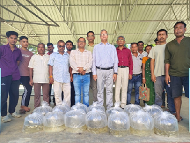 KVK Dhalai Organises Scientific Aquaculture Training and Distributes Inputs to 100 Fish Farmers