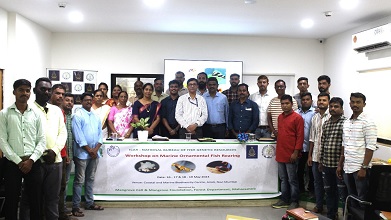 mass-scale-seed-fishes-augmenting-livelihood-coastal-fishers-Maharashtra-01