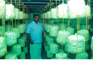From Spores to Sustained Prosperity: Transforming Rural Livelihoods through Mushroom Cultivation in Thiruvananthapuram