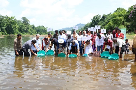ICAR-NBFGR Ranches Newly Described Fish Species in Chalakudy River, Kerala