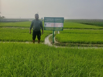 Community Seedling Production for Kharif Rice; A Sustainable SCSP Initiative by ICAR-NDRI-KVK, Nadia with Support from ICAR-CRIJAF, Barrackpore