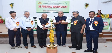 networkproject-01-27112019