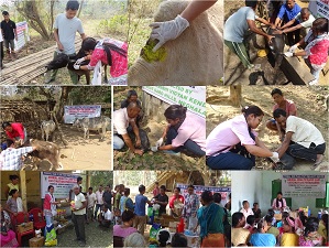 “Animal Vaccination-cum-Health Camps under Tribal Sub Plan (TSP)” organized