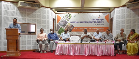 “1st Meeting of 9th Research Advisory Committee