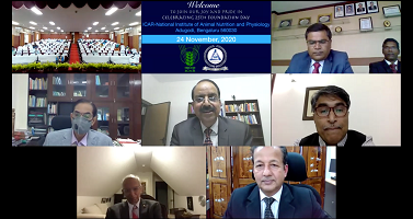 nianpfoundation-01-2020