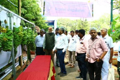 ICAR-NRCB, Tiruchirappalli Highlights Strategies to Mitigate Super El Niño Impacts on Banana-Based Cropping Systems