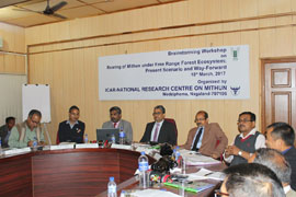 nrcmithun-01-22032017