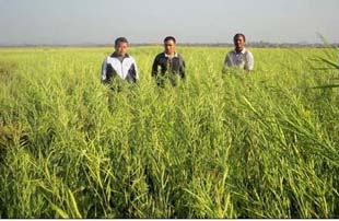 pd-zerotell-01-06012015