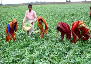 Once a Worried Farmer, Now Inspiring Villagers