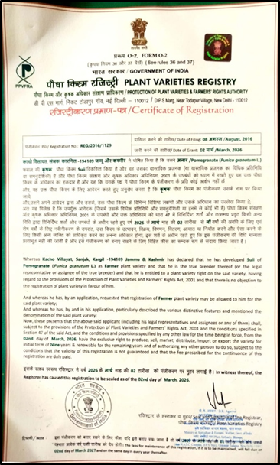 Kargil’s ‘Suii’ farmer pomegranate variety granted protection under PPV&FRA Act, 2001