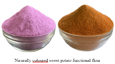 Functional Sweet Potato Flour: Harnessing Biofortification for Nutritious Food Innovation