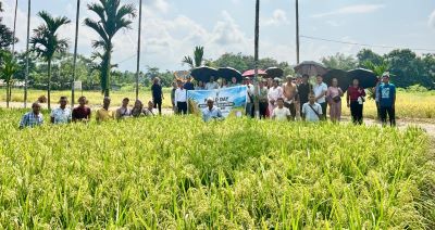 ICAR Nagaland Centre Showcases Seven New Rice Varieties for Higher Productivity and Climate Resilience