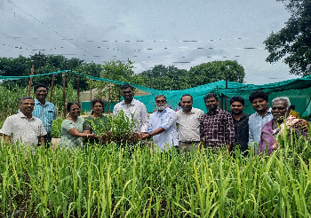 Farmer’s Participatory Quality Seed Production in Sugarcane Organised