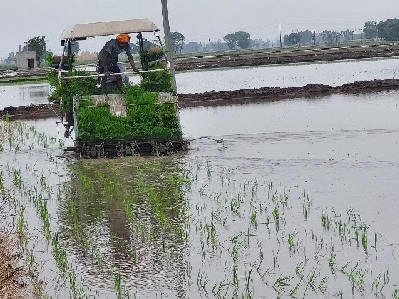 Punjab’s Paddy Transformation: A Success Story in Sustainable Mechanization