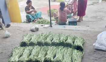 Yard Long Bean Variety ‘Arka Mangala’ Brings High Returns to Manipur Farmer