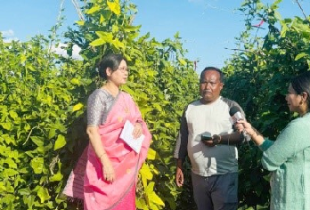 Yard Long Bean Variety ‘Arka Mangala’ Brings High Returns to Manipur Farmer