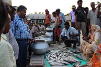 ss-bali-20-10-2016-5