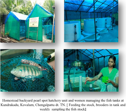 ss-braksewater-05112020