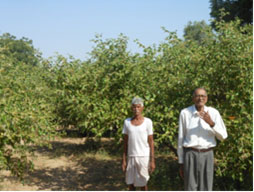 ss-cazri-31-01-2013-1