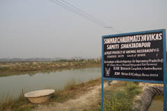 ss-chaur-11-12-2012-5