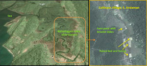ss-ciari-12-11-2015-4