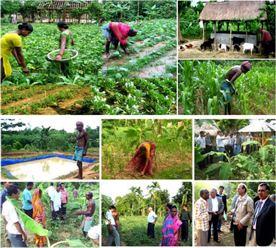 ss-icar-neh-29-07-2013-2-s