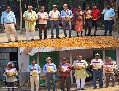 ICAR-IIMR’s hybrids reaching to the unreached with strategically diversifying seeds production site in India