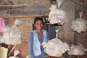FPO based training to marketing model for sustainability of Mushroom production by women group at Varanasi: An ICAR-IIVR ingenuity
